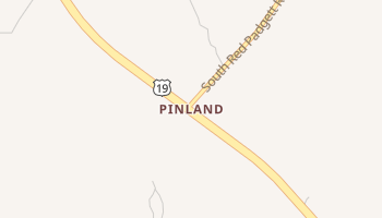 Pinland, Florida map