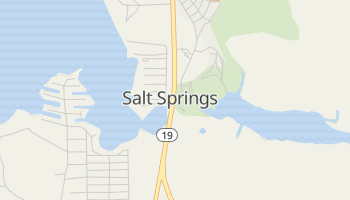 Salt Springs, Florida map