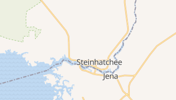 Steinhatchee, Florida map