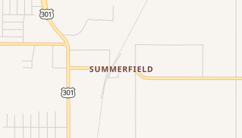 Summerfield, Florida map