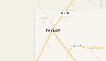 Taylor, Florida map