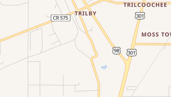 Trilby, Florida map