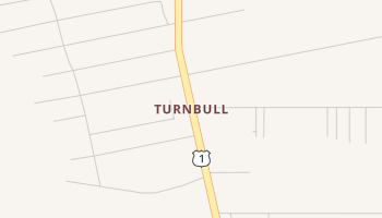Turnbull, Florida map