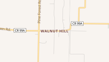 Walnut Hill, Florida map