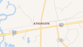 Atkinson, Georgia map