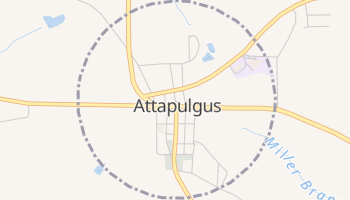 Attapulgus, Georgia map