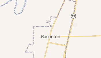 Baconton, Georgia map