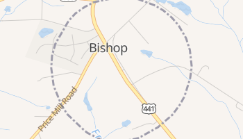 Bishop, Georgia map