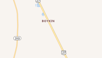 Boykin, Georgia map