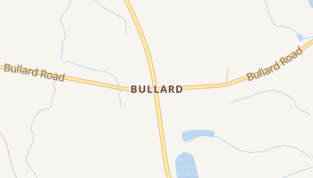 Bullard, Georgia map