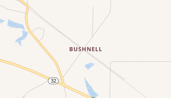 Bushnell, Georgia map