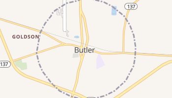Butler, Georgia map