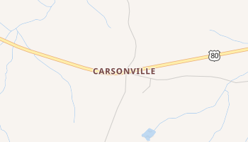 Carsonville, Georgia map