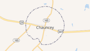 Chauncey, Georgia map