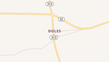 Doles, Georgia map