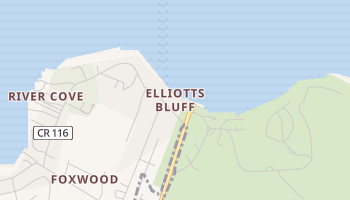 Elliotts Bluff, Georgia map