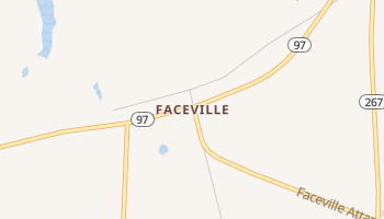 Faceville, Georgia map