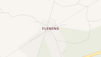 Fleming, Georgia map