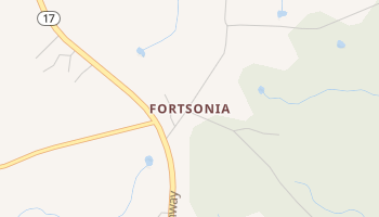 Fortsonia, Georgia map