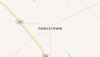 Fowlstown, Georgia map