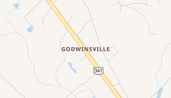 Godwinsville, Georgia map