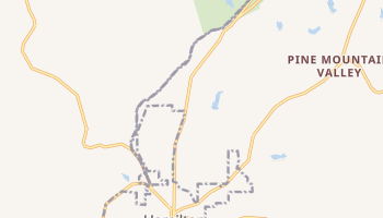 Hamilton, Georgia map