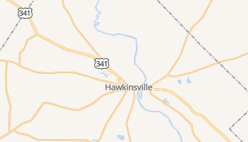 Hawkinsville, Georgia map