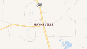 Hayneville, Georgia map