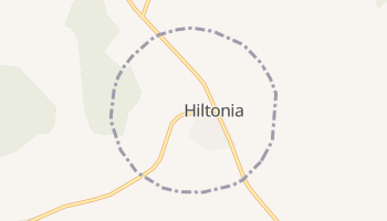 Hiltonia, Georgia map