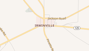 Irwinville, Georgia map