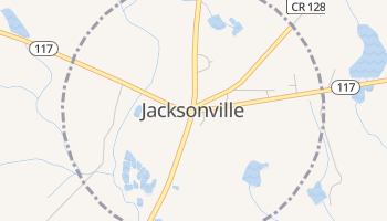 Jacksonville, Georgia map