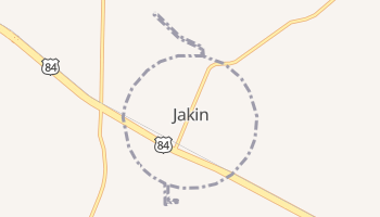Jakin, Georgia map
