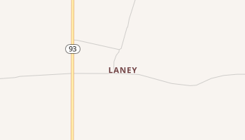 Laney, Georgia map