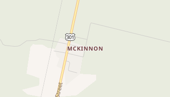 McKinnon, Georgia map