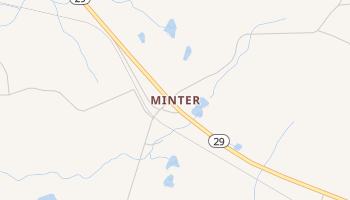 Minter, Georgia map