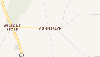 Munnerlyn, Georgia map