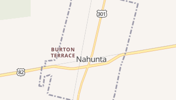 Nahunta, Georgia map