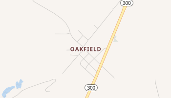 Oakfield, Georgia map