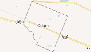 Odum, Georgia map