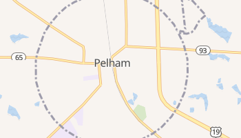 Pelham, Georgia map