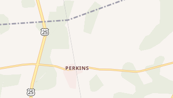 Perkins, Georgia map