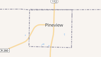 Pineview, Georgia map