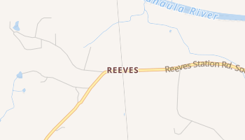 Reeves, Georgia map