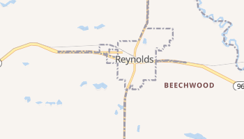 Reynolds, Georgia map