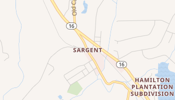 Sargent, Georgia map