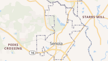 Senoia, Georgia map