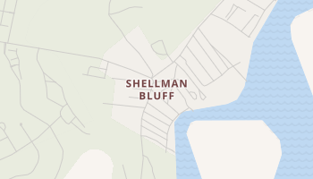 Shellman Bluff, Georgia map