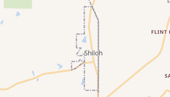 Shiloh, Georgia map