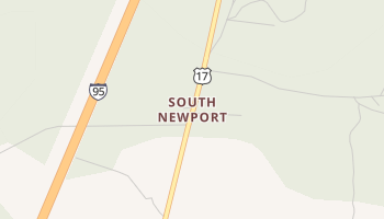 South Newport, Georgia map