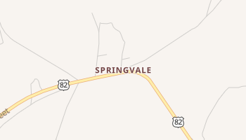 Springvale, Georgia map